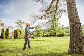 Best Lawn Pest Prevention  in Elmwood Park, NJ